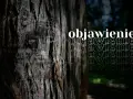 Na pniu drzewa widnieje twarz, jakby objawienie. Obok powtarza się słowo "objawienie?".