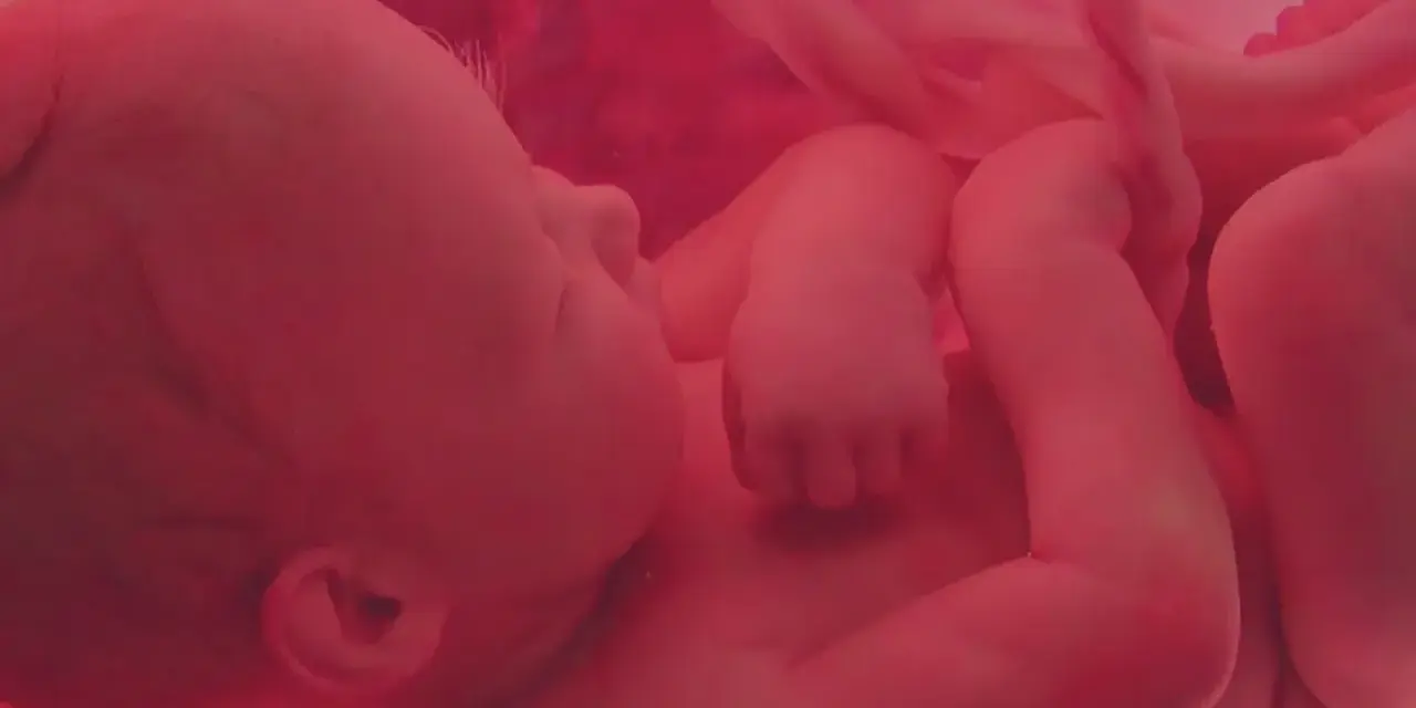 Dziecko w łonie matki, otoczone pępowiną. Obraz symbolizuje modlitwę w intencji nienarodzonego dziecka i jego zdrowia.