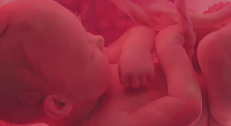 Dziecko w łonie matki, otoczone pępowiną. Obraz symbolizuje modlitwę w intencji nienarodzonego dziecka i jego zdrowia.