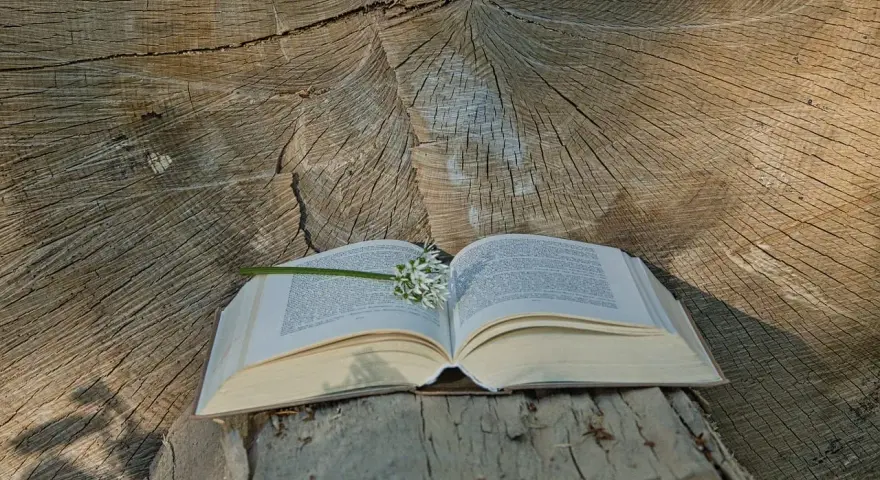 Otwarta księga z kwiatem na tle pnia drzewa. Wśród stron odnalezione najpiękniejsze psalmy.